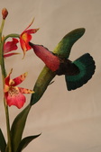 Enlarge photo 35