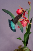 Enlarge photo 36