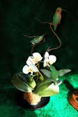 Enlarge photo 41