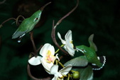 Enlarge photo 44