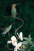 Enlarge photo 42