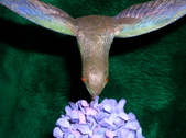 Enlarge photo 17