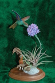 Enlarge photo 25