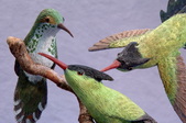 Hummingbirds 2005