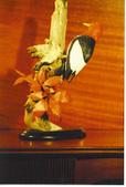 Enlarge photo 15