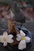 Enlarge photo 24