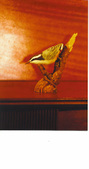 Enlarge photo 19
