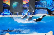 Enlarge photo 9