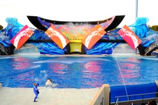 Enlarge photo 25