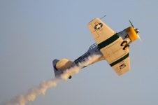 Enlarge photo 72