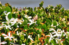 Enlarge photo 30