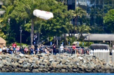 Enlarge photo 301
