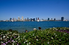 Enlarge photo 279