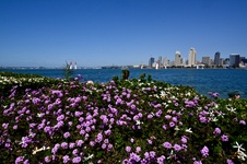 Enlarge photo 278