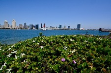 Enlarge photo 277