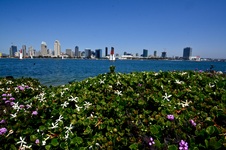 Enlarge photo 276