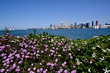 Enlarge photo 275