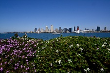 Enlarge photo 274
