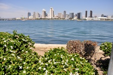 Enlarge photo 18