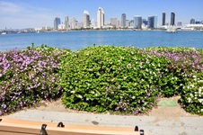 Enlarge photo 19
