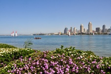 Enlarge photo 42