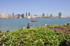 Enlarge photo 313