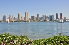 Enlarge photo 41