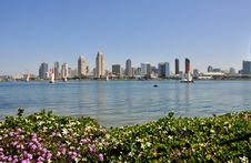 Enlarge photo 39