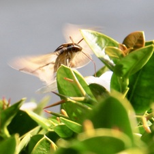 Enlarge photo 28