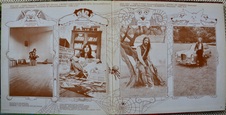 Enlarge photo 40