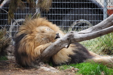 Enlarge photo 56