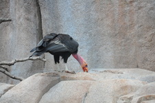 Enlarge photo 1