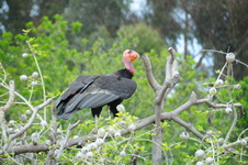 Enlarge photo 20