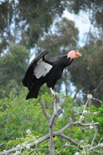Enlarge photo 27