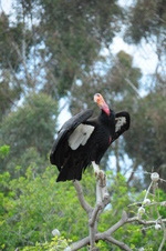 Enlarge photo 28