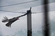 Enlarge photo 30