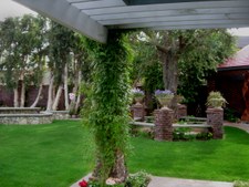 Enlarge photo 19