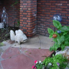 Enlarge photo 23