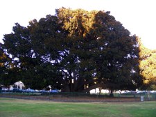 Enlarge photo 32