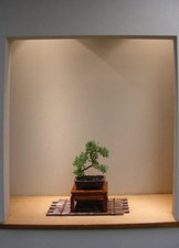 Enlarge photo 2