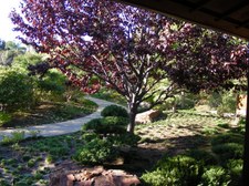 Enlarge photo 11