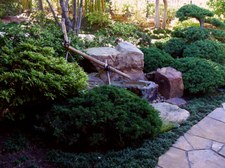 Enlarge photo 12