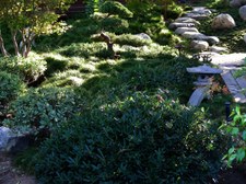Enlarge photo 15