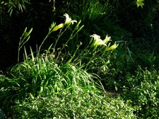 Enlarge photo 25