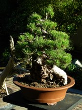 Enlarge photo 27