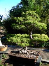 Enlarge photo 28