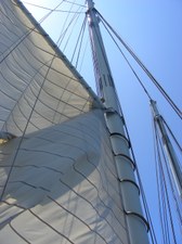 Enlarge photo 69