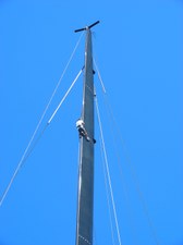 Enlarge photo 133