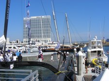 Enlarge photo 127