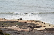 Enlarge photo 13